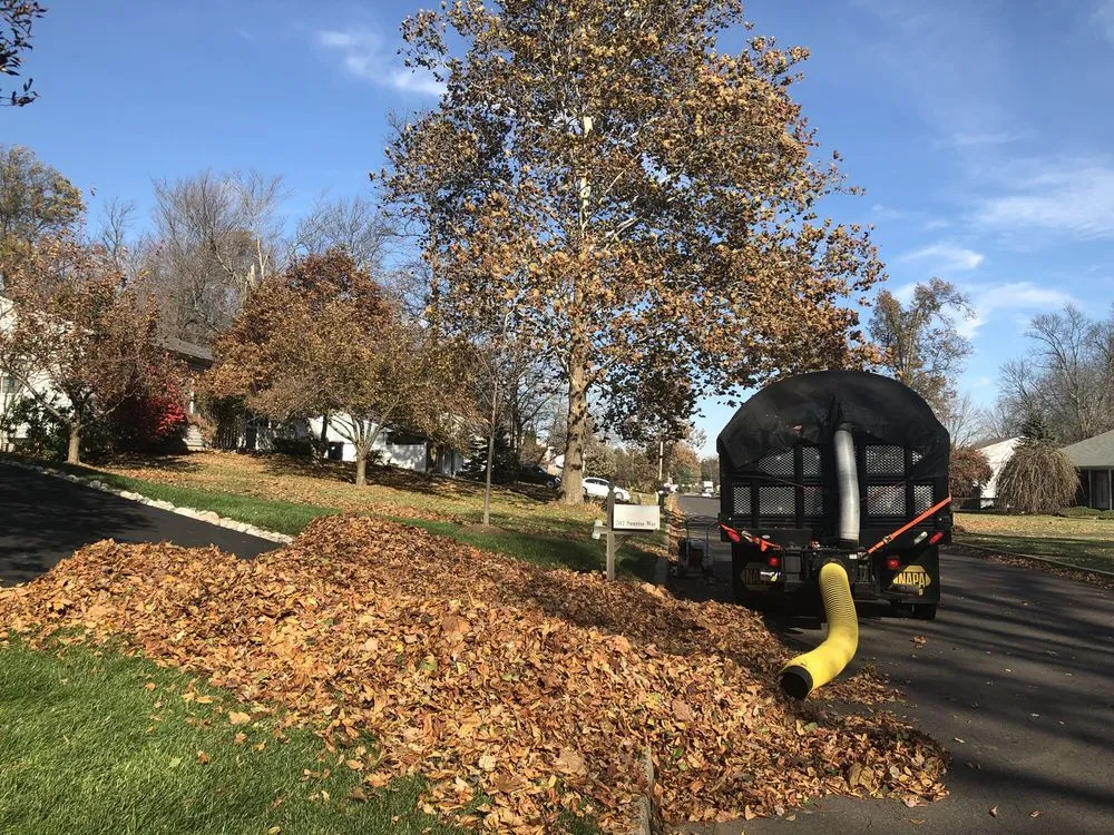 Local lawn care service for outdoor upgrades across Warminster, PA - Schonewolf Lawn Care