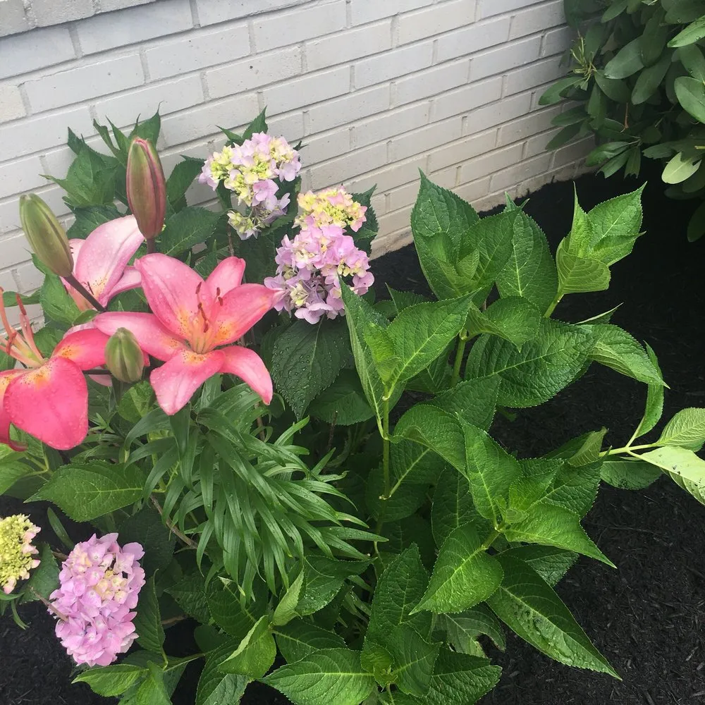 Local residential landscaping experts serving Warminster, PA - Schonewolf Lawn Care