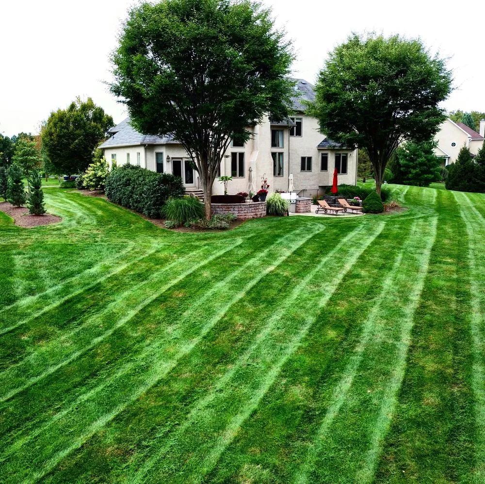 Affordable yard cleanup service in Warminster, PA - Schonewolf Lawn Care