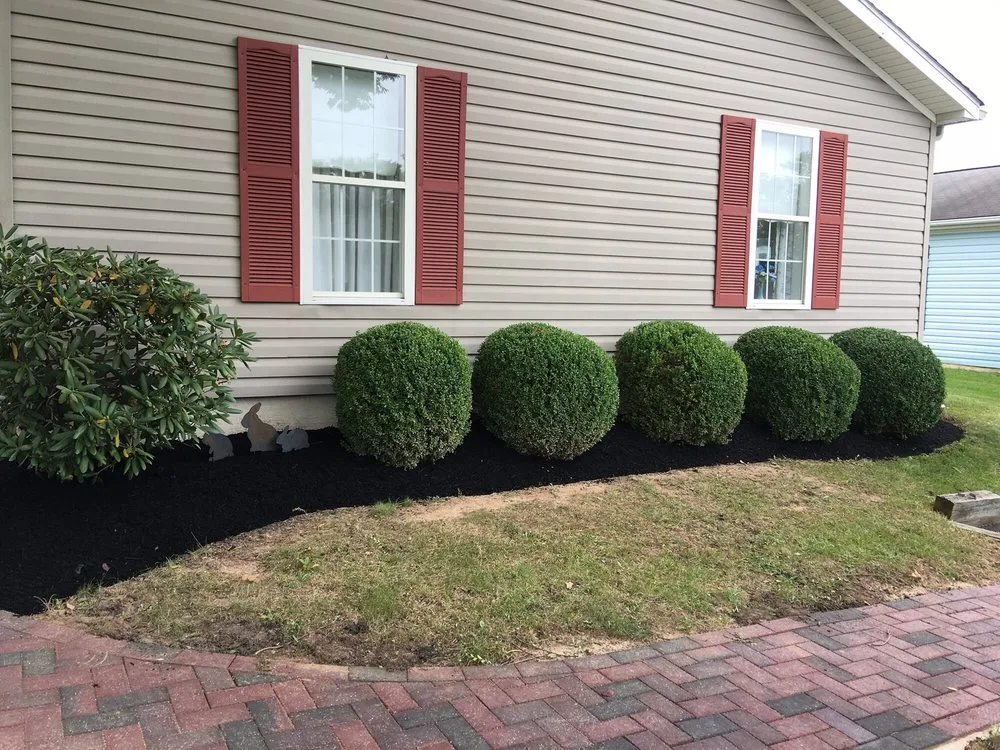 Expert yard cleanup service for beautiful yards across Warminster, PA - Schonewolf Lawn Care