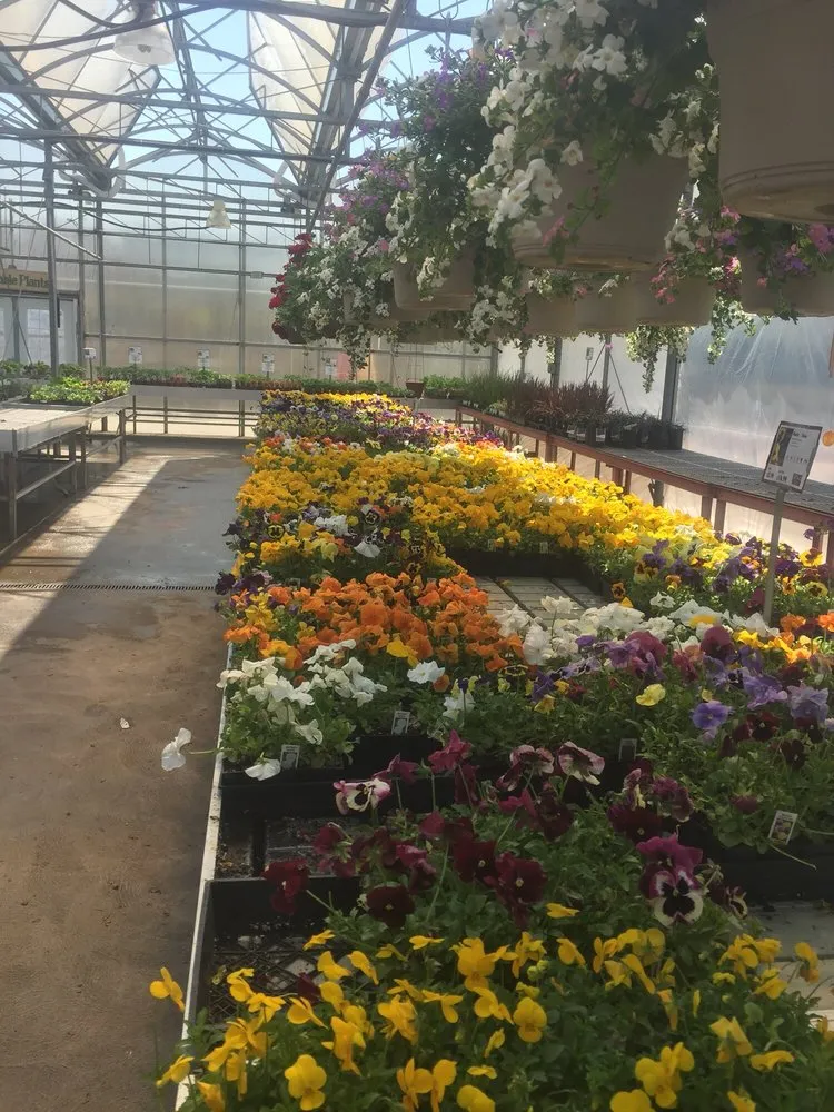 Trusted landscape design for outdoor upgrades across Warminster, PA - Schonewolf Lawn Care