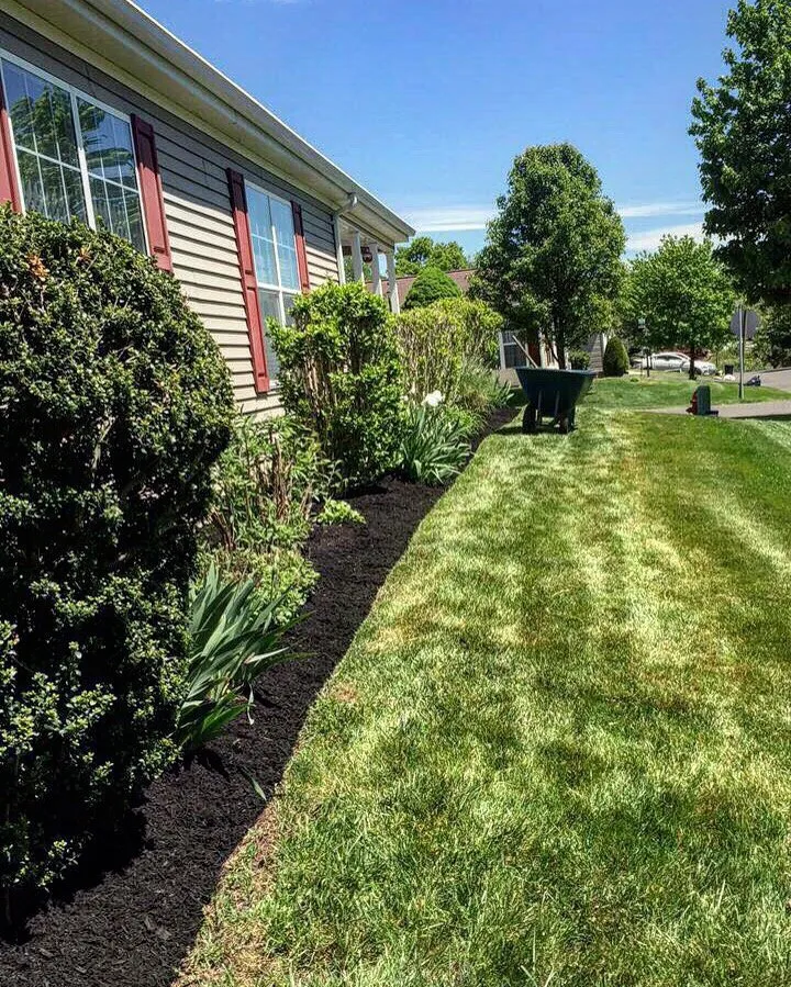 Top-rated landscape installation in Warminster, PA by Schonewolf Lawn Care