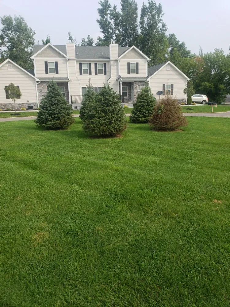 Top-rated outdoor landscaping in Rochester Hills, MI by Schooks Landscaping