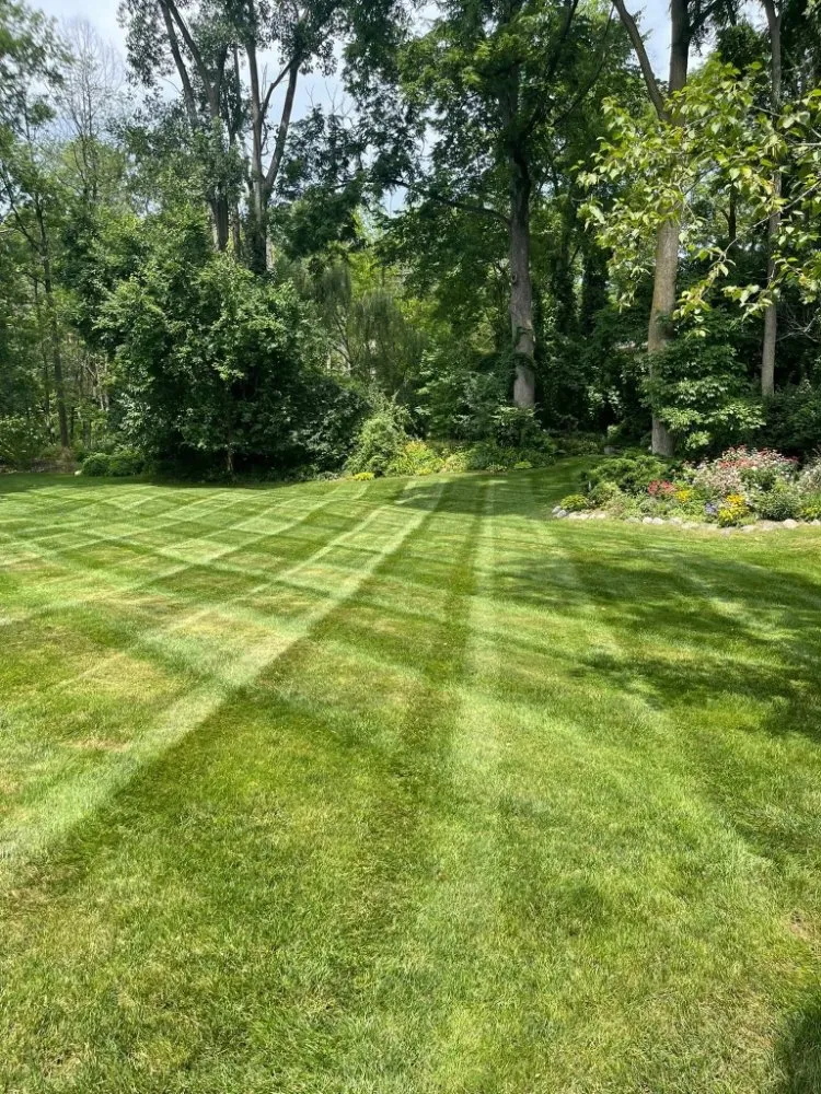 Top-rated landscaping services experts serving Rochester Hills, MI - Schooks Landscaping