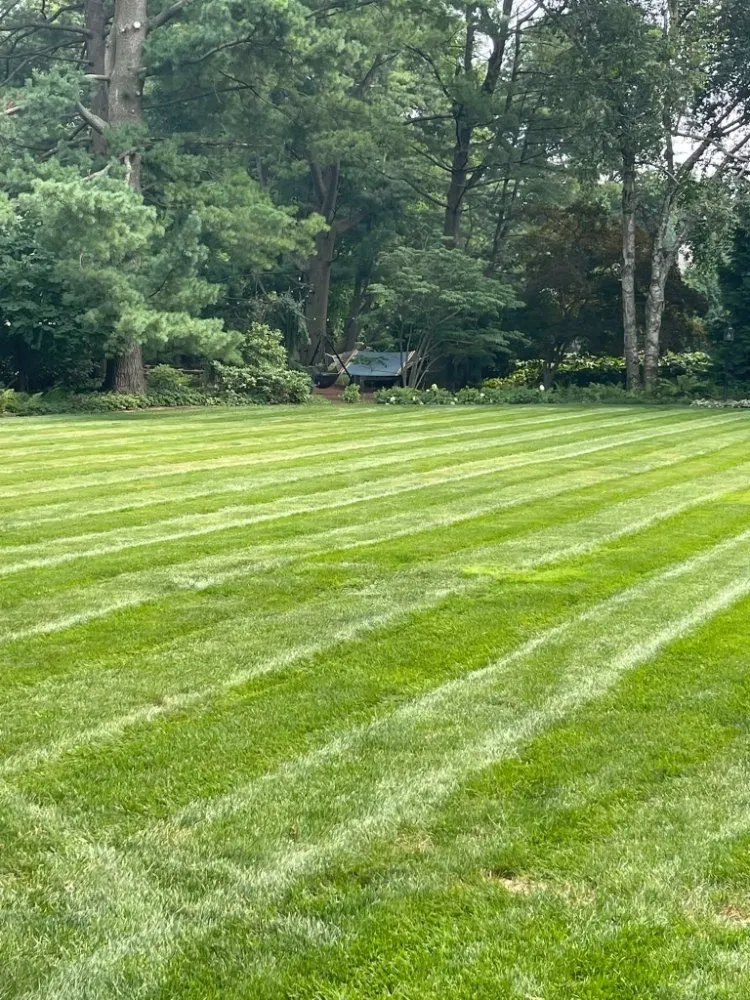 Reliable lawn mowing service in Rochester Hills, MI by Schooks Landscaping