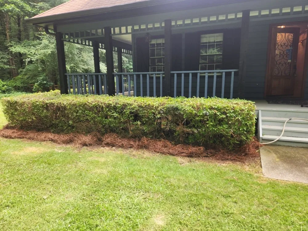 Reliable lawn care service in Loganville, GA - School Boys Lawn Service
