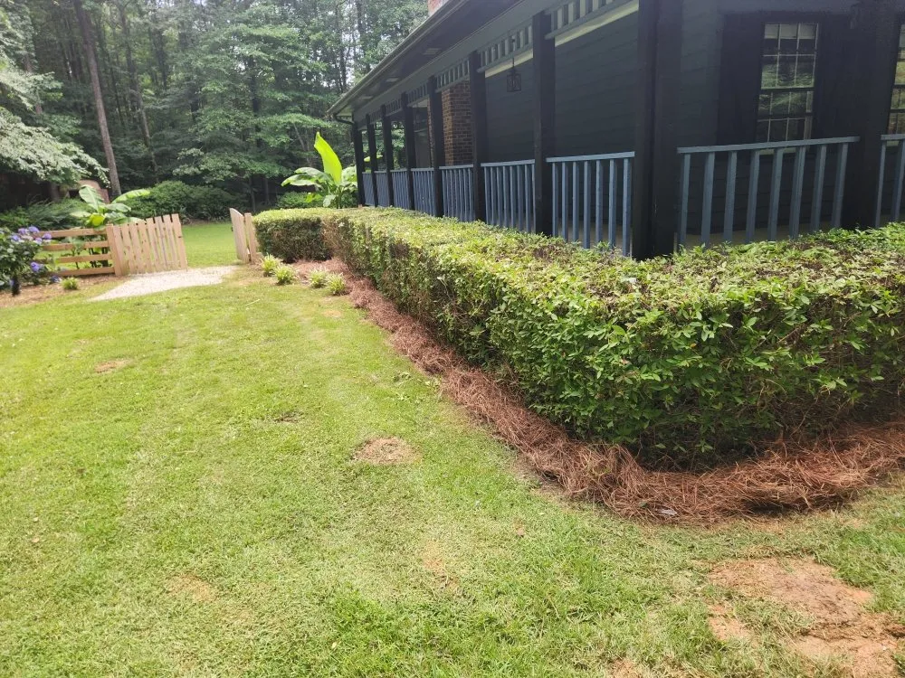 Professional outdoor landscaping in Loganville, GA - School Boys Lawn Service