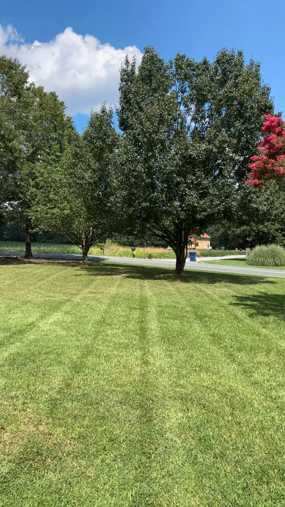 Local landscape installation in Monroe, NC by Schott's Landscape