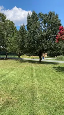 Schott's Landscape Logo