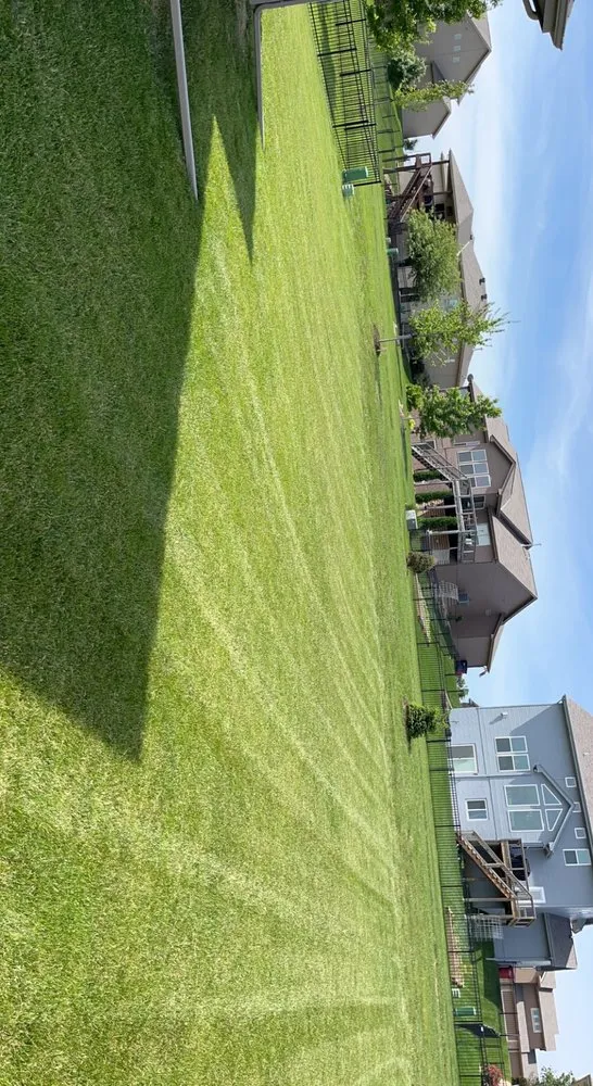 Reliable residential landscaping for beautiful yards across Bellevue, NE - Schreck’s Lawn Care