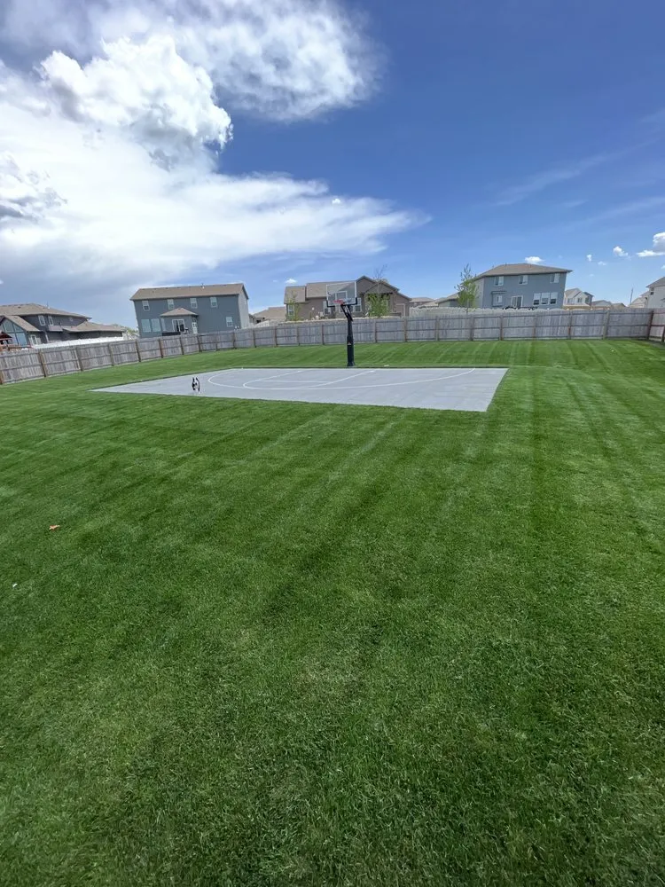 Expert yard maintenance in Bellevue, NE - Schreck’s Lawn Care