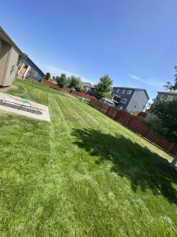Affordable landscaping services experts serving Bellevue, NE - Schreck’s Lawn Care