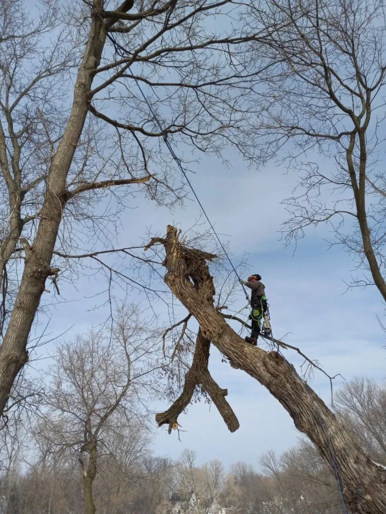 Trusted yard cleanup service near you across Minneapolis, MN - Schroeder Outdoor Services