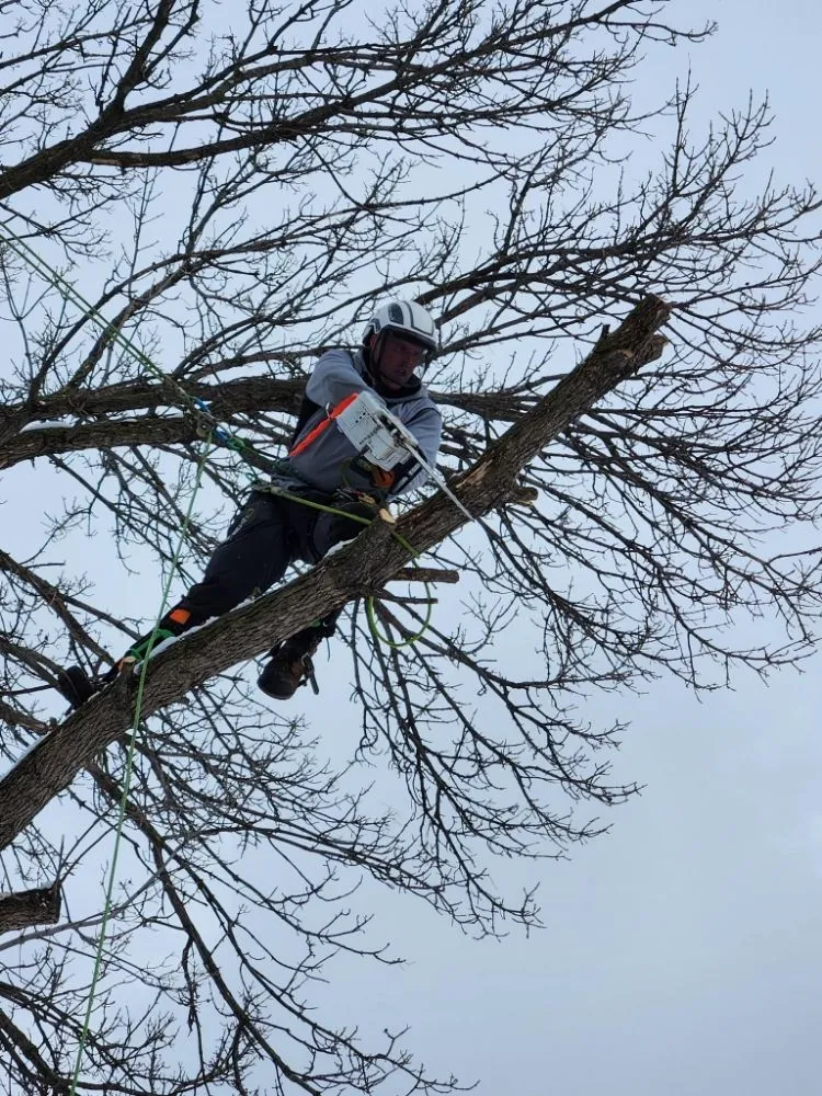 Reliable landscaping services in Minneapolis, MN by Schroeder Outdoor Services