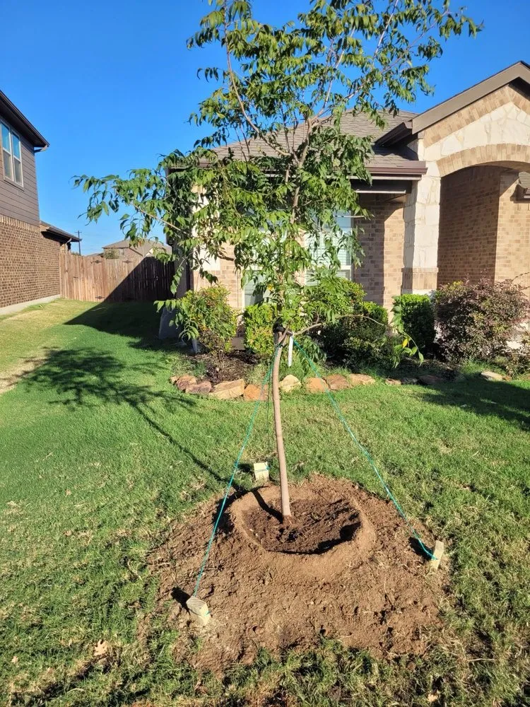Reliable yard maintenance with custom design in Corinth, TX by Schroeder Services