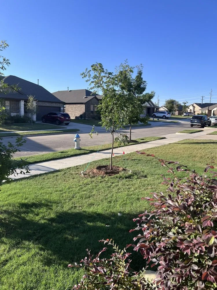 Trusted landscape design near you in Corinth, TX by Schroeder Services