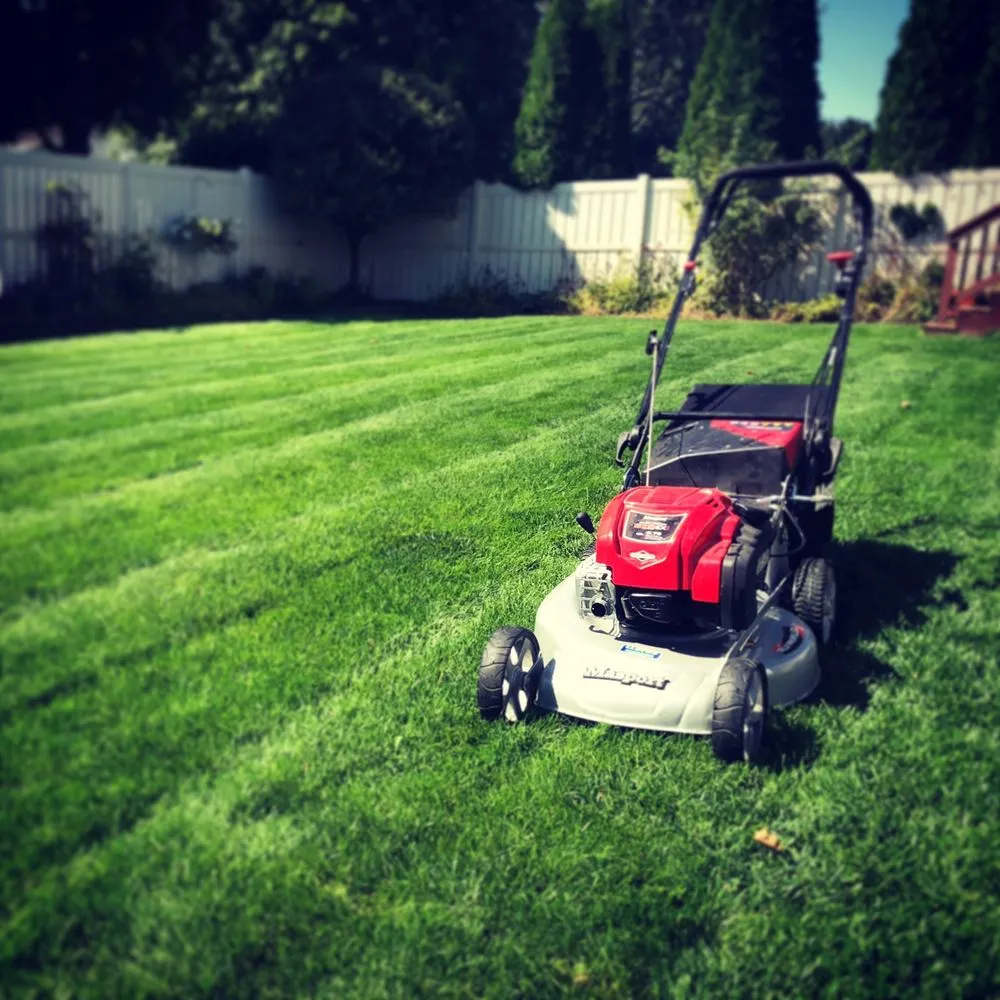 Reliable yard cleanup service for year-round maintenance in Tecumseh, MI by Schroeder's Lawn & Garden