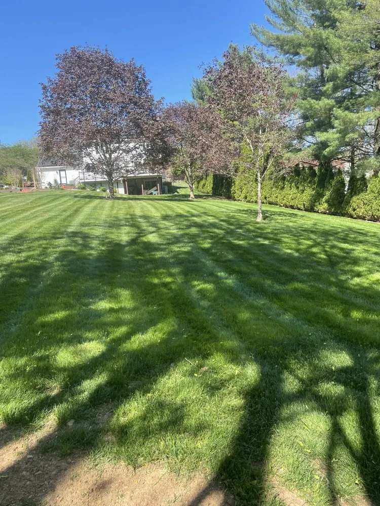 Top-rated landscape design for homes across Westminster, MD - Schubbys Landscape