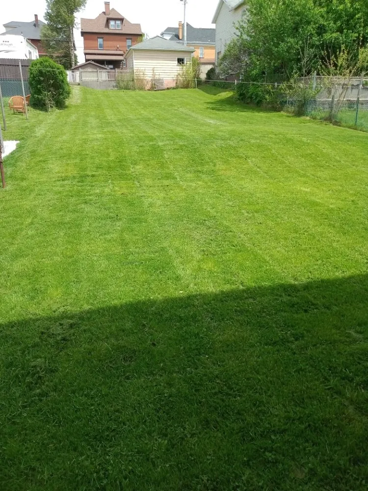 Expert yard cleanup service in Latrobe, PA - Schucks Landscaping