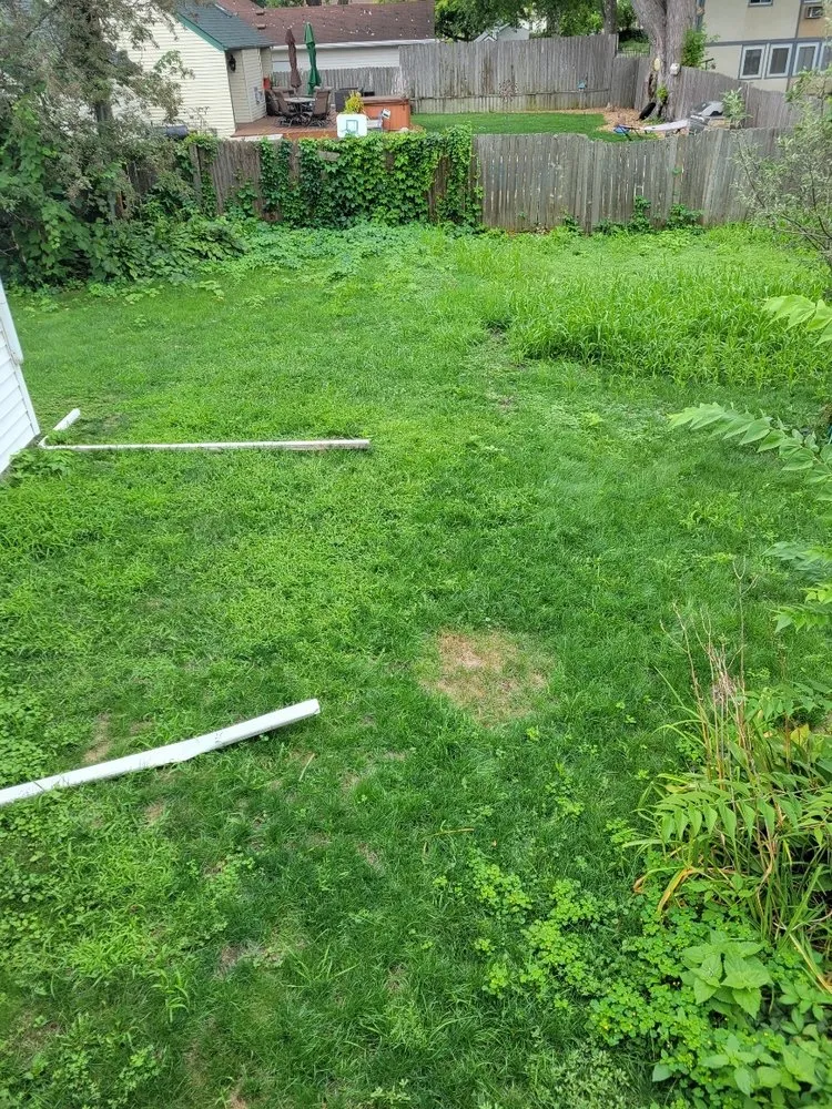 Affordable lawn mowing service for beautiful yards in Saint Paul, MN by Schuett’s Lawn Care