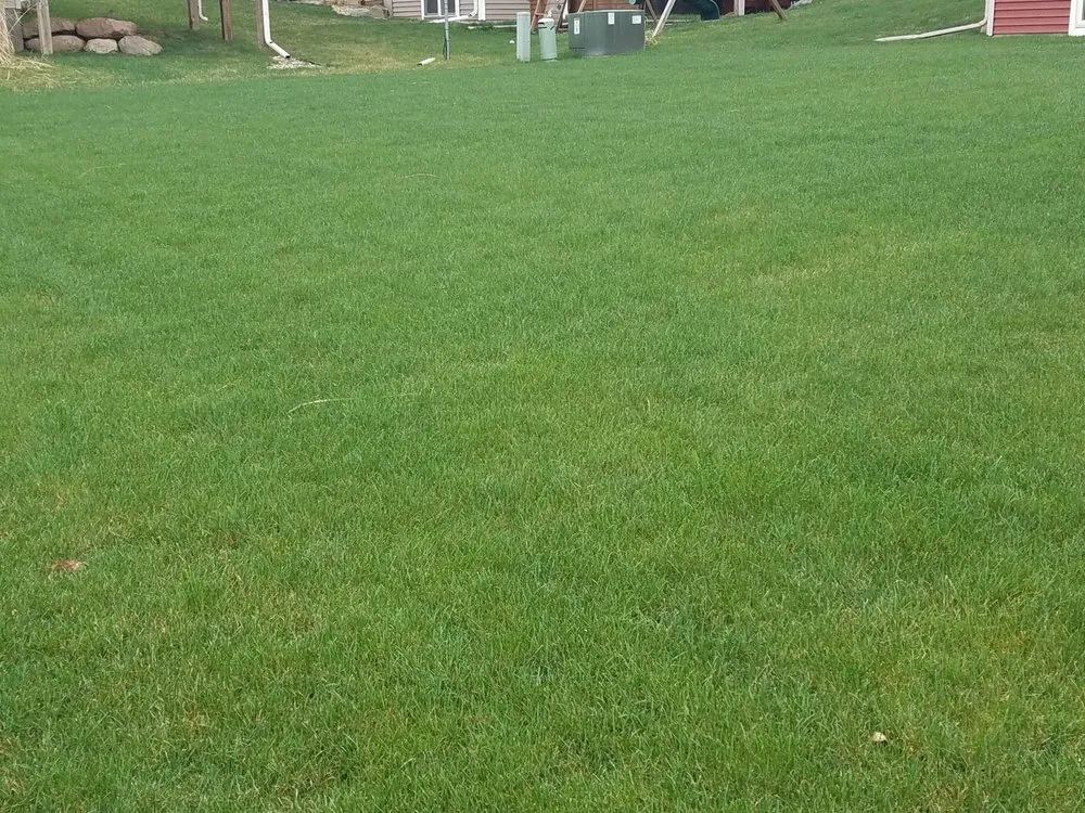 Top-rated yard maintenance experts serving Mount Horeb, WI - Schulenberg Land Care