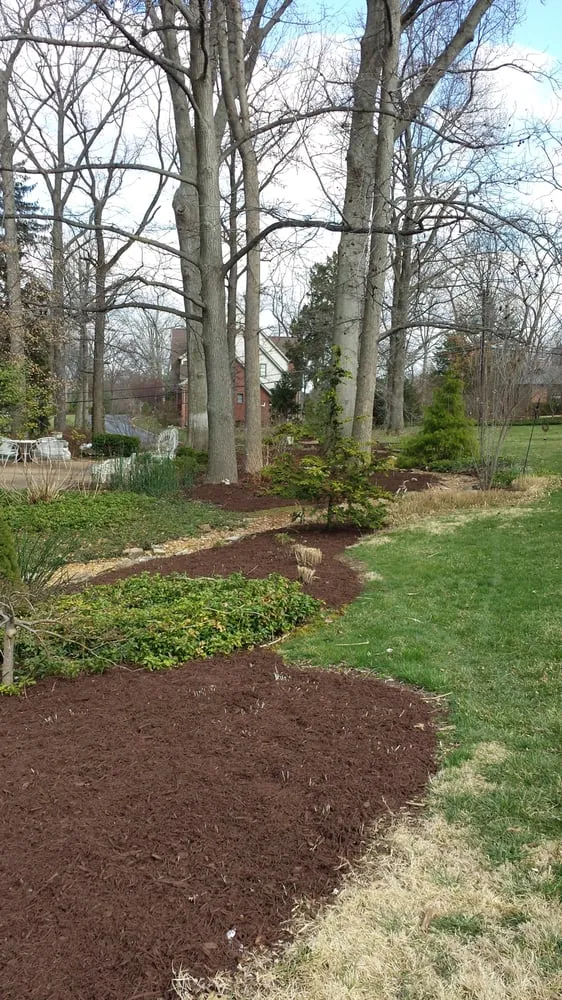 Reliable lawn mowing service in Saint Charles, MO - Schuler Lawn Care