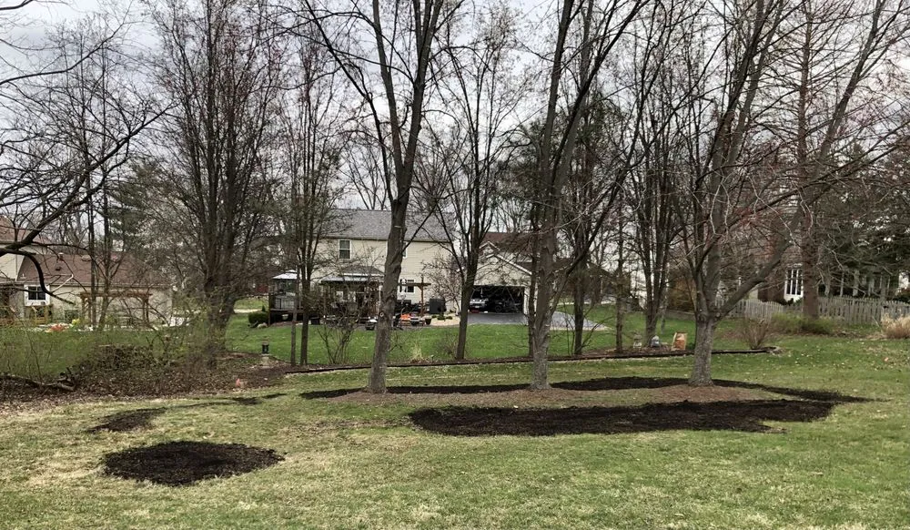 Custom yard maintenance in Saint Charles, MO - Schuler Lawn Care