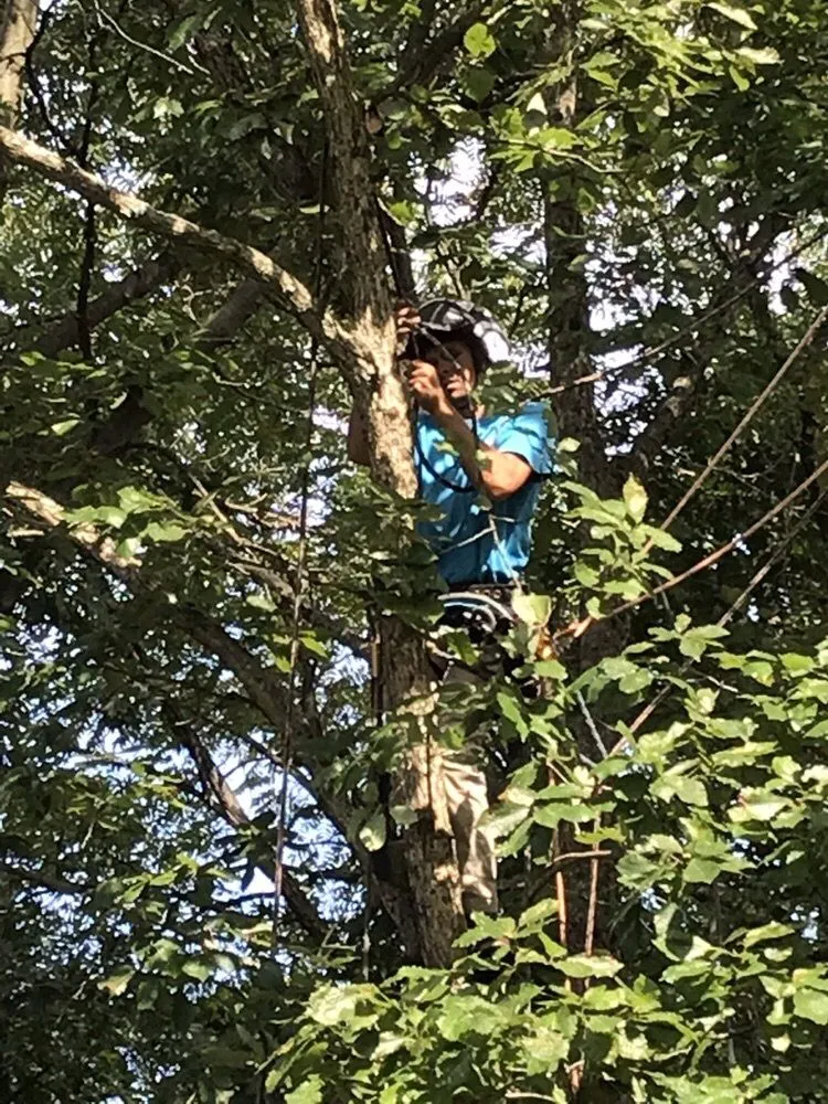 Trusted outdoor landscaping for year-round maintenance across Okeana, OH - Schulte Lawn And Tree Services