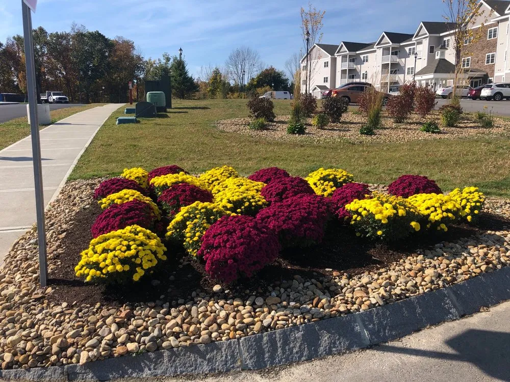 Expert landscaping services in Newton, NH - Schulte