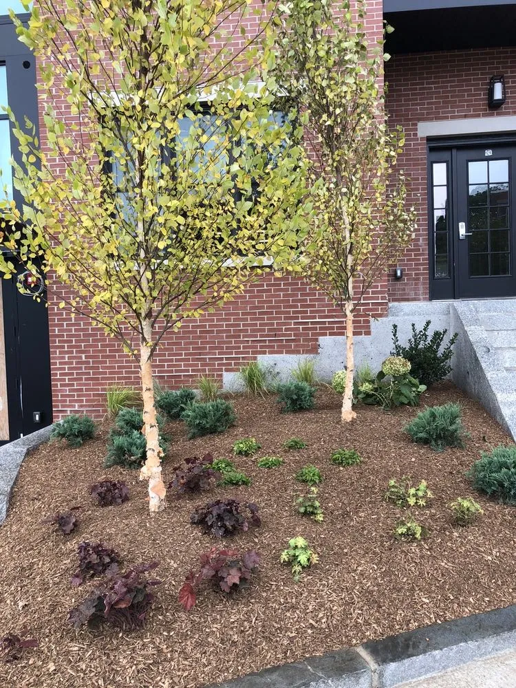 Professional lawn care service near you across Newton, NH - Schulte