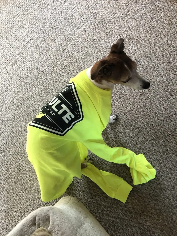 Professional residential landscaping near you in Newton, NH by Schulte