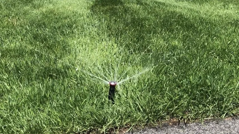 Reliable landscape design for beautiful yards across Newton, NH - Schulte