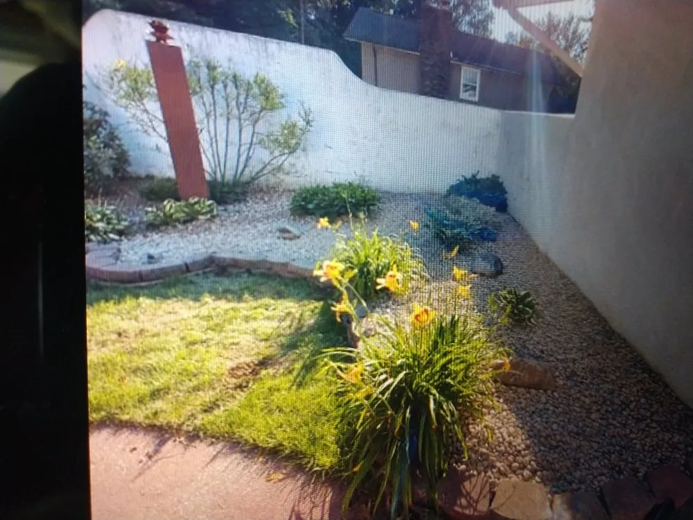 Local yard cleanup service experts serving Colon, MI - Schultz Landscaping and Restoration