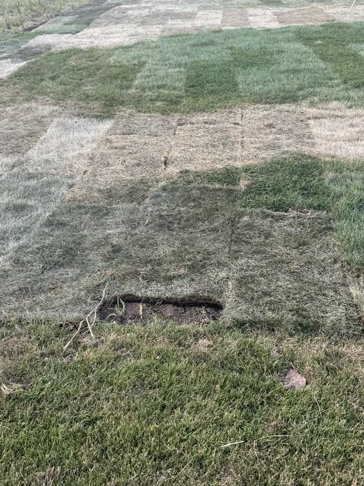 Reliable outdoor landscaping experts serving Menasha, WI - Schultz Lawn Care