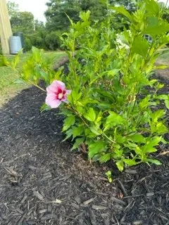 Schultz's Landscaping