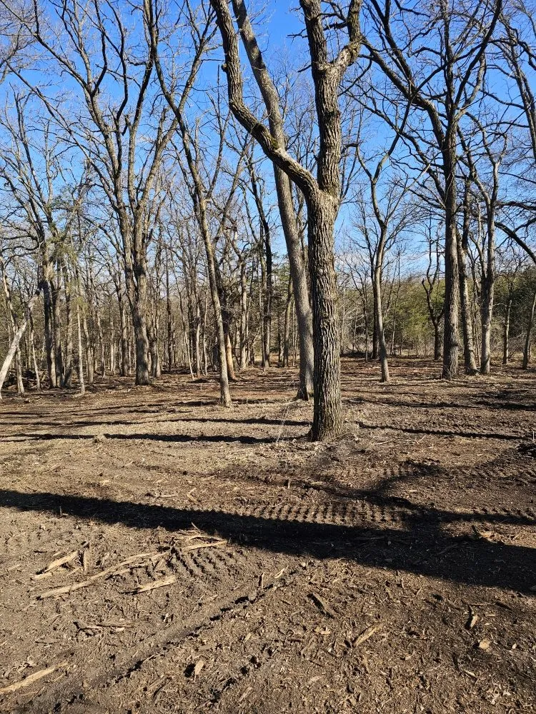 Top-rated landscaping services experts serving Kenyon, MN - Schultz's Skidloader Services