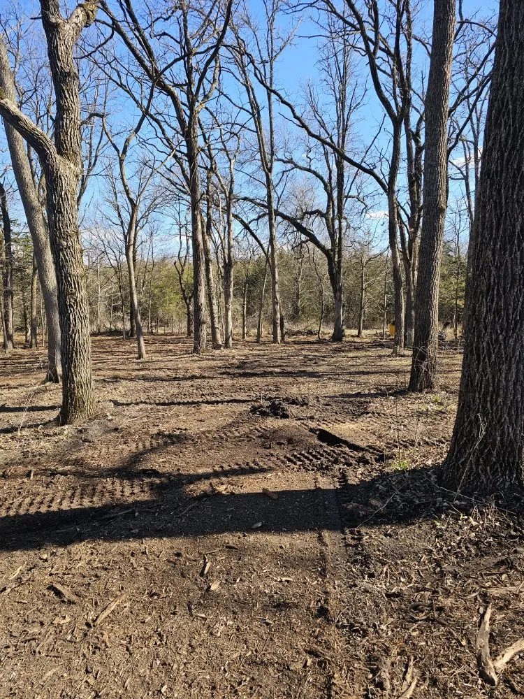 Reliable residential landscaping in Kenyon, MN - Schultz's Skidloader Services