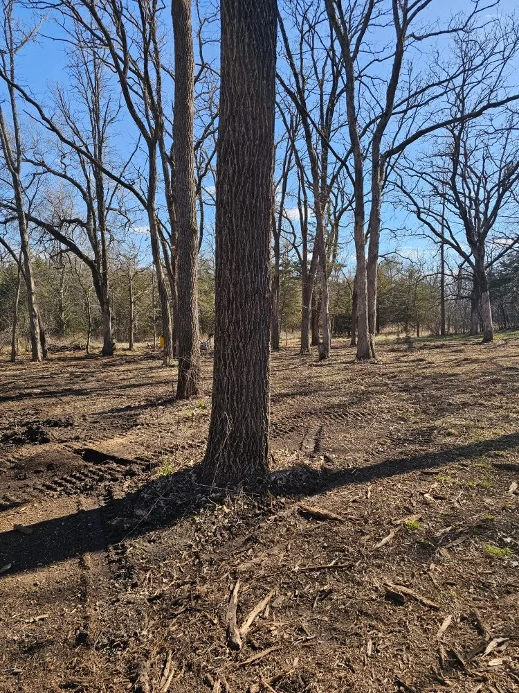 Local landscape design for outdoor upgrades across Kenyon, MN - Schultz's Skidloader Services