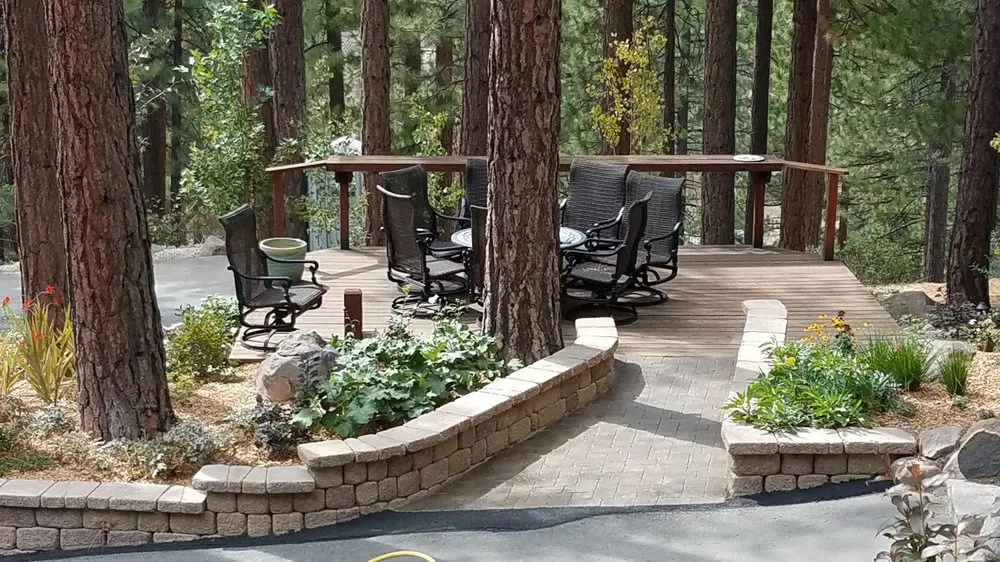 Top-rated yard cleanup service in Carson City, NV by Schumacher Landscaping