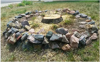 Top-rated landscaping services in Naperville, IL by Schuster Stump Removal