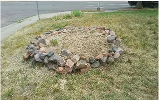 Expert landscape design for year-round maintenance across Naperville, IL - Schuster Stump Removal