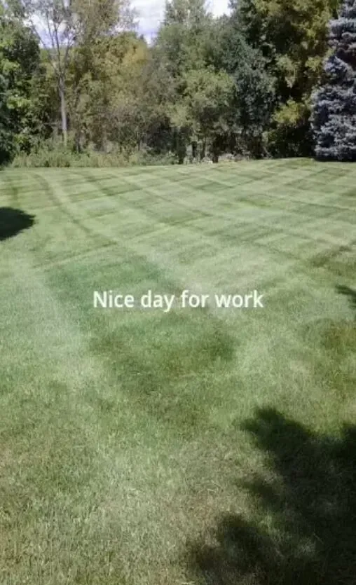 Professional residential landscaping in Eagan, MN - Schut Lawn Service