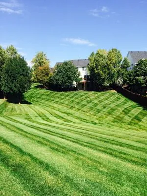 Schutman's Lawncare