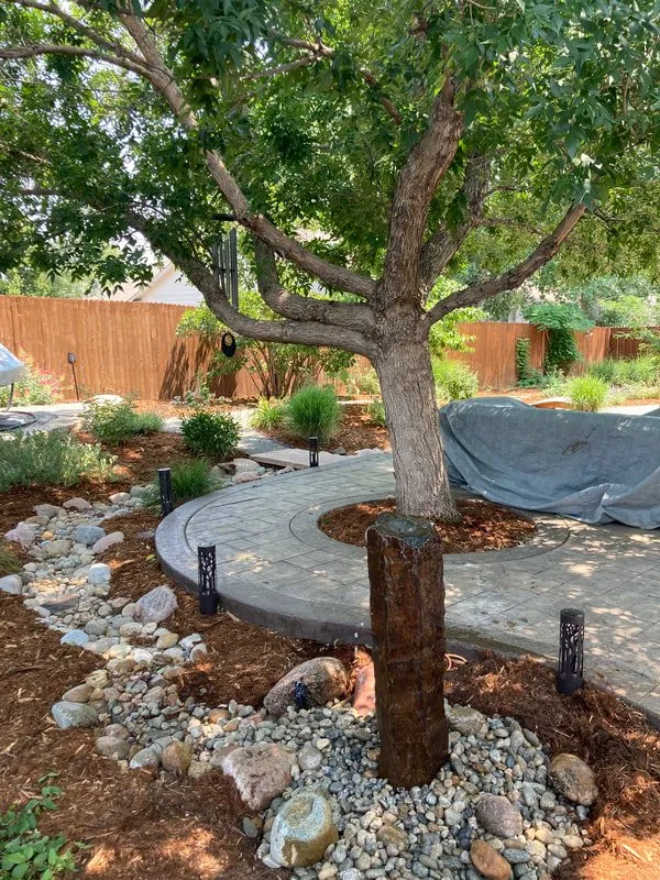 Affordable outdoor landscaping for residential properties across Longmont, CO - Schwabees Landscaping and Construction