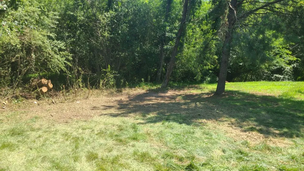 Professional yard cleanup service in Smithfield, NC by Schwartz Land Improvement