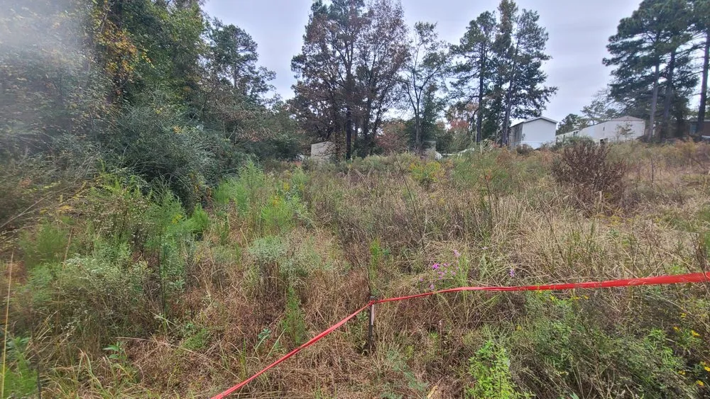 Custom yard cleanup service in Smithfield, NC - Schwartz Land Improvement