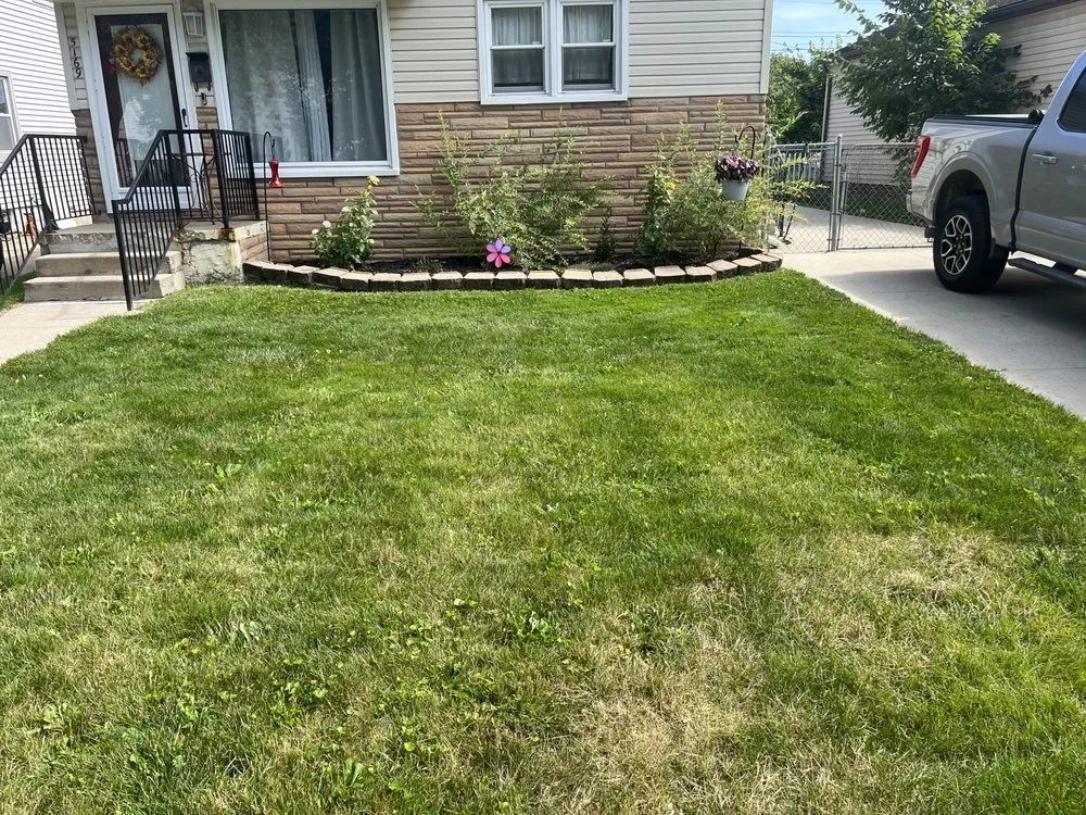 Local yard maintenance experts serving Wayne, MI - Schwartz Lawn Maintenance