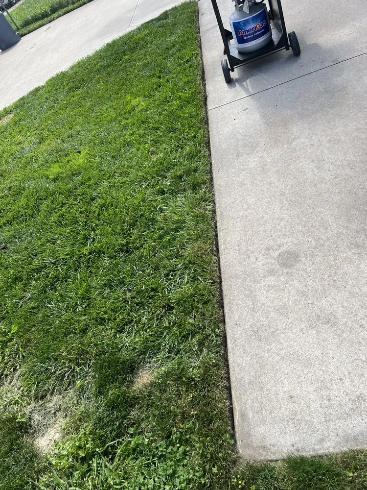 Affordable landscape installation near you in Wayne, MI by Schwartz Lawn Maintenance