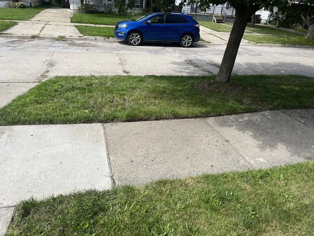 Local landscaping services in Wayne, MI - Schwartz Lawn Maintenance