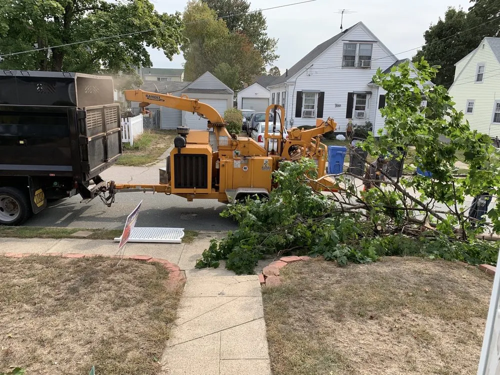 Professional yard cleanup service in Coventry, RI by Schwartz Tree Care & Landscaping